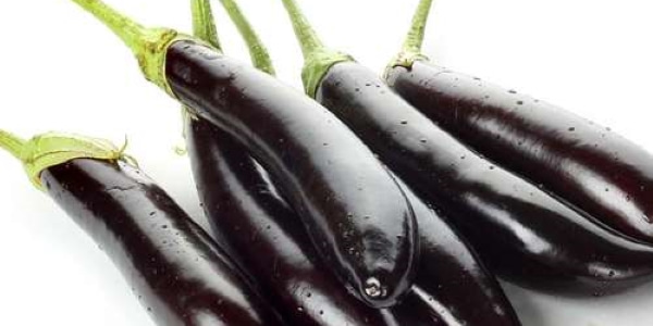 تصویر 1 از خرید بادمجان قلمی سیاه + قیمت فروش استثنایی